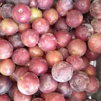 آلوقرمز به شرط