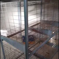 قفس مرغ تخمگذار
