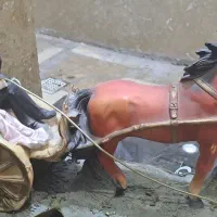 مجسمه|مجسمه، تندیس، ماکت|مشهد, حسین‌آباد|دیوار