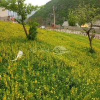 زمین در فیروز آباد کجور