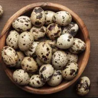 تخم بلدرچین نطفه دار و مصرفی