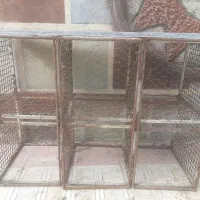 قفس پرنده