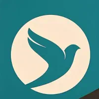 همکاری با مالک مجوز و شراکت