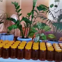 عسل بهاره