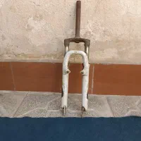 دو شاخ