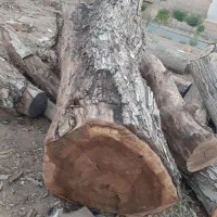 خرید وفروش انواع چوب مصالحی