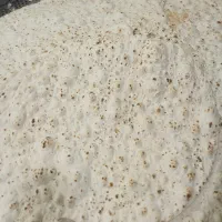 نیروساده نانوایی