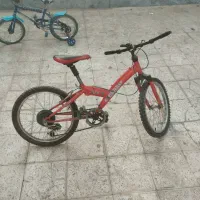 دو عدد دوچرخه