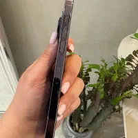 Iphon14pro max|موبایل|گنبد کاووس, |دیوار
