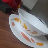 ظرف ارکوپال