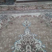 قالی سلیمان