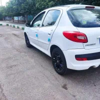 207 پانا 1401 در حد