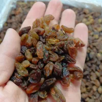 کشمش پاک شده کاشمر