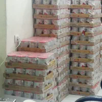 رب گوجه فرنگی بیژن