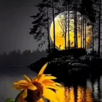 سیم کارت همراه اول