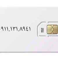 ۰۹۱۱.۱۳۱.۸۹۴۱