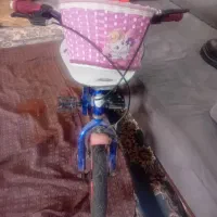 دوچرخه  ۱۲ بجه گانه