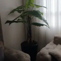 درخچه مصنوعی