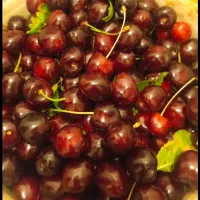 گیلاس تک دانه