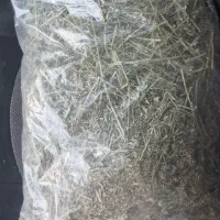 یونجه و پوشال خرگوش