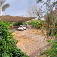 جویای کار با کوییک مدل بالا
