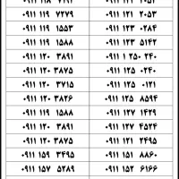 ۰۹۱۱-۱۱۰-۶۰۱۰