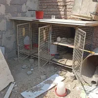 قفس فلزی سنگین وزن