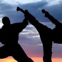 تدریس خصوصی هنر رزمی رما - دفاع شخصی پیشرفته