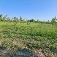 یک هکتارزمین کشاورزی چسبیده به امتیازات