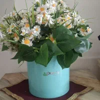 گل بابونه