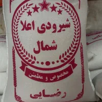 برنج شیرودی