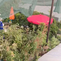 چتر سایبان ۸ ضلعی