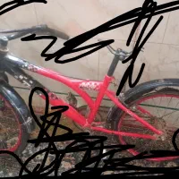 تنه دوچرخه