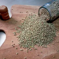 خواربار فروشی بانو