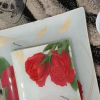 ظروف پذیرایی