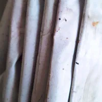 بنر دست دوم