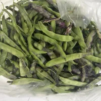 لوبیا سبز