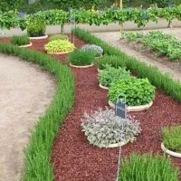 خدمات باغبانی در سراسر کرج