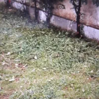 فروش زمین موقعیت ممتاز