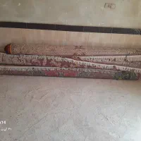 فرش|فرش|کوهین, |دیوار