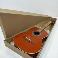 گیتار پارسی P40