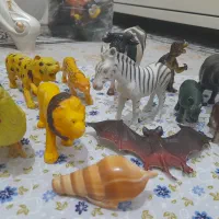 اسباب بازی حیوانات و عروسک بوقی