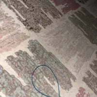 فروش فرشی ارام