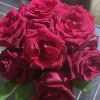 باکس گل طبیعی