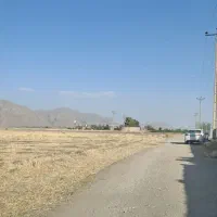 زمین کشاورزی