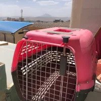 باکس سگ