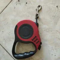 بند قلاده سگ