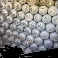 کپسول مستنو