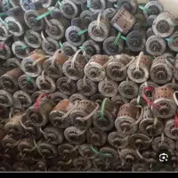 موتوردینام کولرابی آلومینیوم کارکرده ارزان قیمت۲۴س