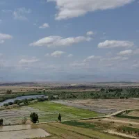 توصیه کودی تخصصی برای مزارع و باغات